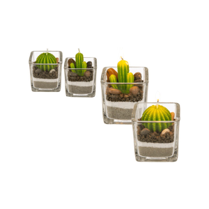CANDELA CACTUS IN VASO 