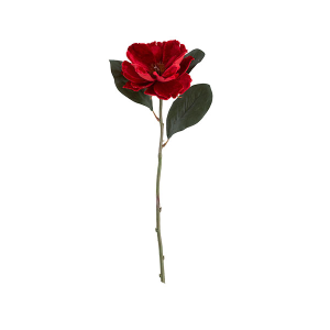 MAGNOLIA VELLUTO ROSSO
