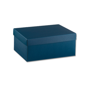 F/C EASY 455X320X150 FIBRA BLU 