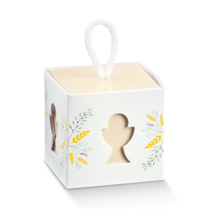 IN C/CO 50X50X50 CAL.HOLY