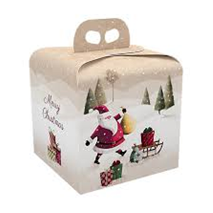 PORTAPANETTONE 200X200X180 S.C.